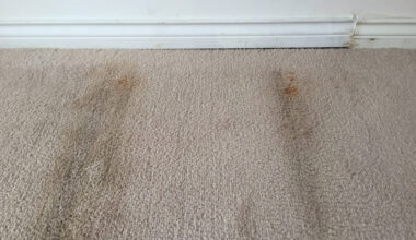 why your carpet is secretly filthy even when it looks fine
