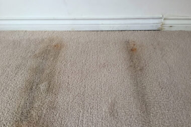 why your carpet is secretly filthy even when it looks fine