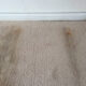 why your carpet is secretly filthy even when it looks fine