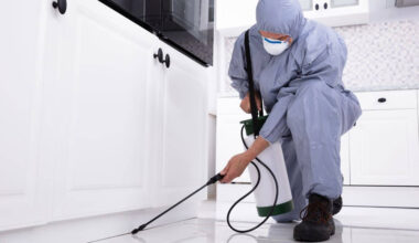 How Professional Pest Treatments in Corona Support Long Term Home Care