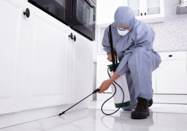 How Professional Pest Treatments in Corona Support Long Term Home Care