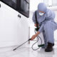How Professional Pest Treatments in Corona Support Long Term Home Care