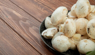 Why does ergonomics matter in mushroom farm equipment