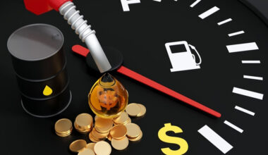 Business Fuel Costs