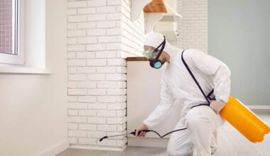 Effective Pest Control Solutions in Sydney