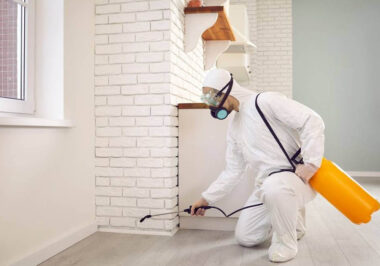 Effective Pest Control Solutions in Sydney