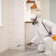 Effective Pest Control Solutions in Sydney