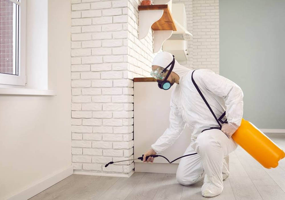 Effective Pest Control Solutions in Sydney