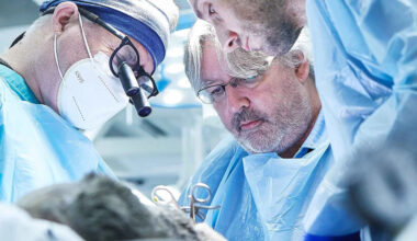 Enhancing Precision in Surgery with Surgical Loupes