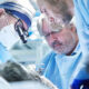 Enhancing Precision in Surgery with Surgical Loupes