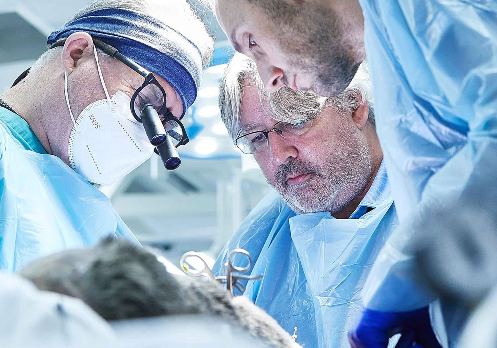 Enhancing Precision in Surgery with Surgical Loupes