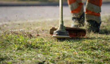 How to Get Sharp Clean Lawn Edges Without Wasting Your Weekend
