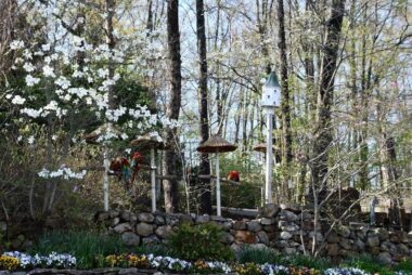 How to Plan a Smart and Fun Trip to Pigeon Forge Without Wasting Money