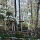 How to Plan a Smart and Fun Trip to Pigeon Forge Without Wasting Money