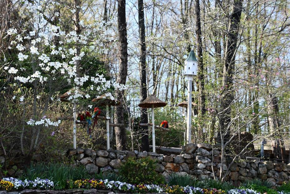 How to Plan a Smart and Fun Trip to Pigeon Forge Without Wasting Money