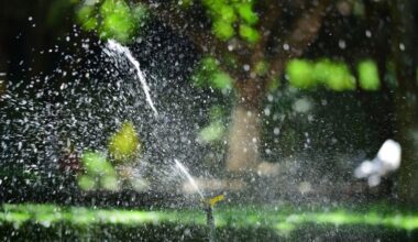 How to Spot Irrigation Problems Before Your Yard Pays the Price