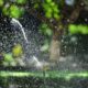 How to Spot Irrigation Problems Before Your Yard Pays the Price
