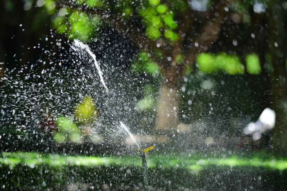 How to Spot Irrigation Problems Before Your Yard Pays the Price