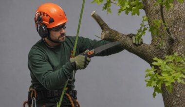 Top 7 Tree Trimming And Pruning Companies In Birmingham AL