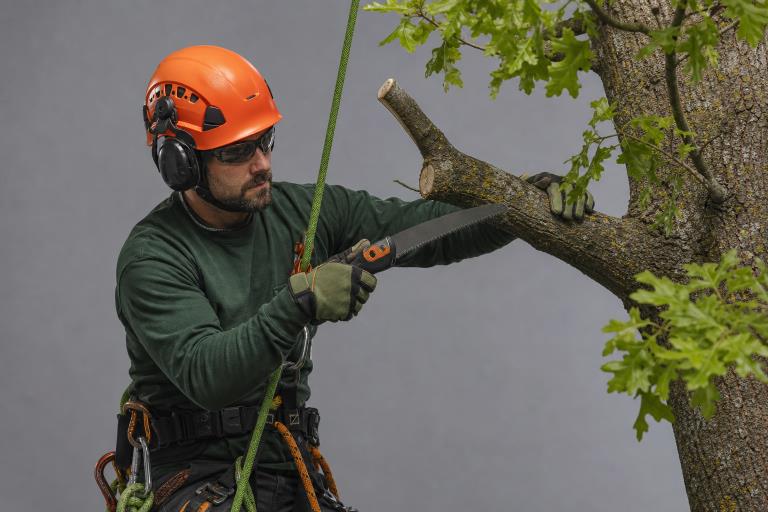 Top 7 Tree Trimming And Pruning Companies In Birmingham AL