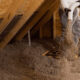 Attic Insulation Strategies for Broward Countys High Humidity Homes