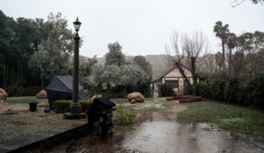 How to Tell If Your Yard Has a Drainage Problem Before It Gets Expensive