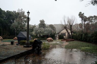 How to Tell If Your Yard Has a Drainage Problem Before It Gets Expensive