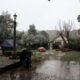 How to Tell If Your Yard Has a Drainage Problem Before It Gets Expensive