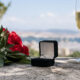 Is It the Right Time How to Know When to Propose
