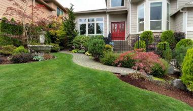 Landscaping Over a Septic Drain Field What to Plant and What to Avoid