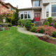 Landscaping Over a Septic Drain Field What to Plant and What to Avoid