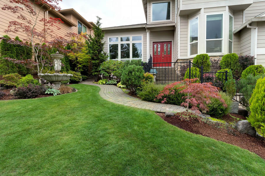Landscaping Over a Septic Drain Field What to Plant and What to Avoid