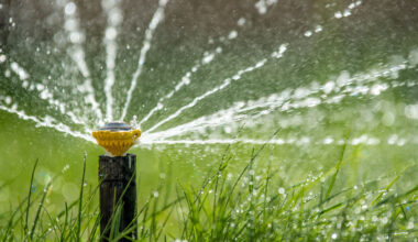 Smarter Garden Irrigation Measuring Water Use and Improving Outdoor Watering Efficiency