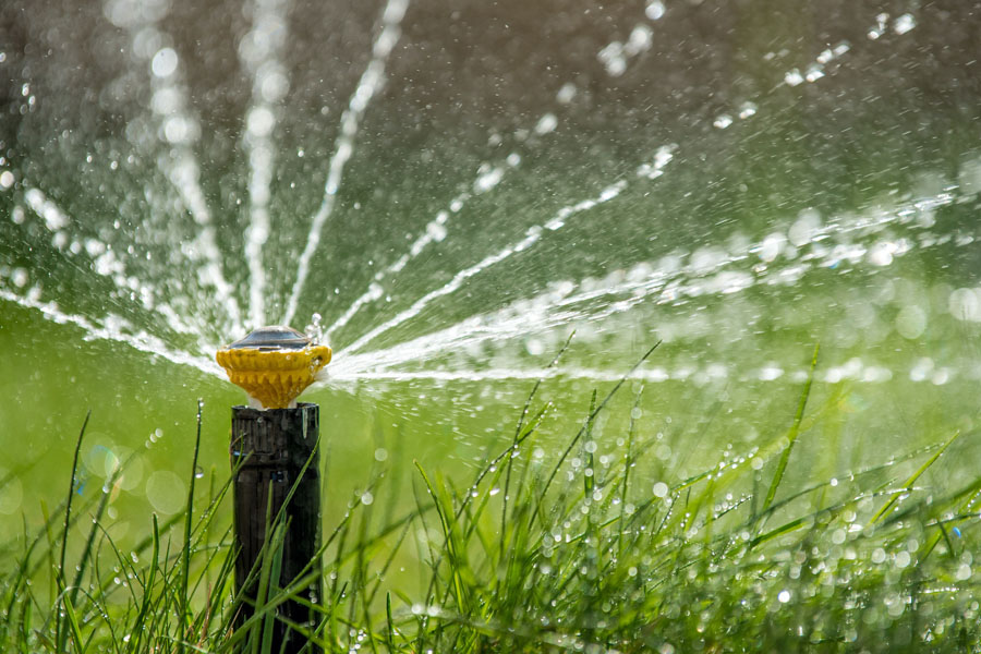 Smarter Garden Irrigation Measuring Water Use and Improving Outdoor Watering Efficiency