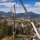 Top 5 Tree Service Companies In Boulder CO