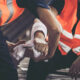 What Does California Division of Workers Compensation Do for Injured Workers