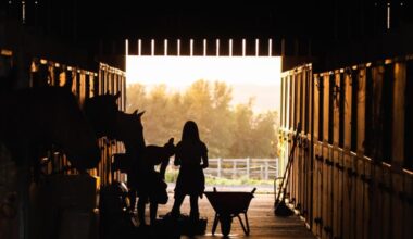 Designing the Perfect Equestrian Facility