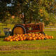 How to Plan a Pumpkin Farm Visit That Actually Works