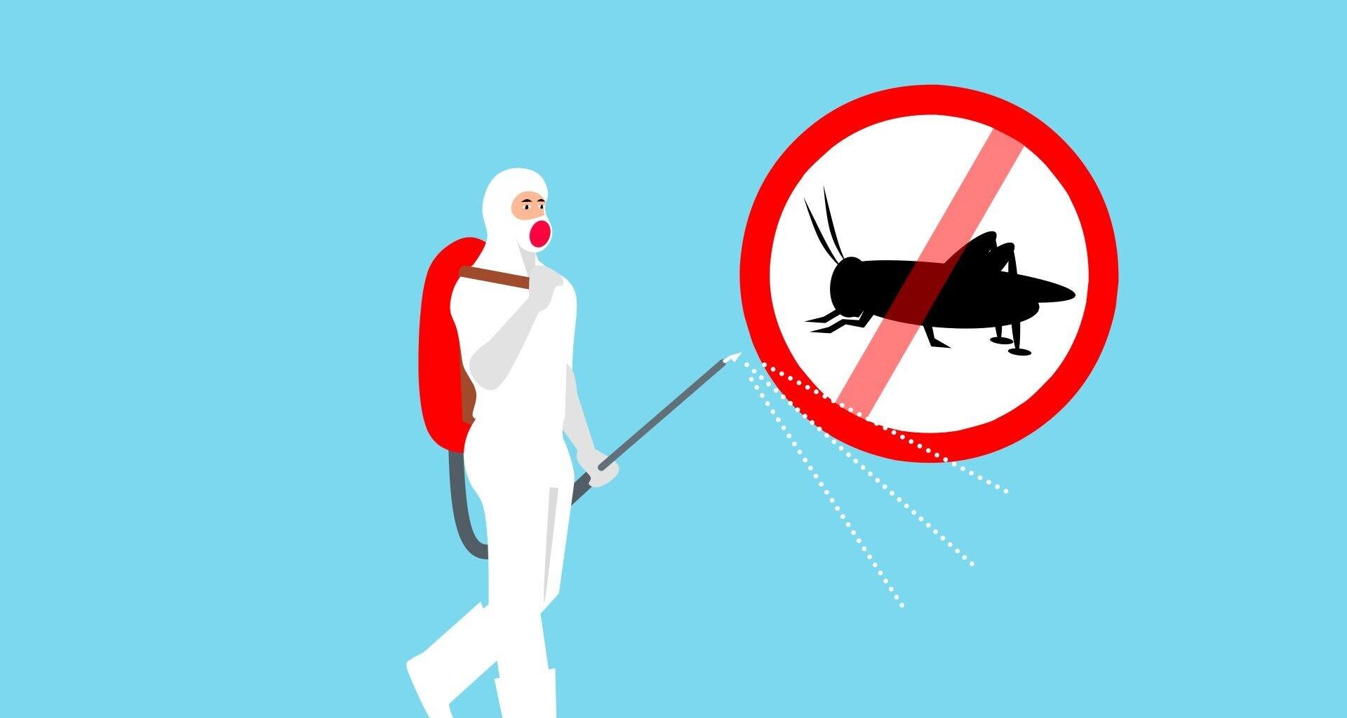 Preventing Household Pest Infestations