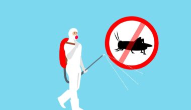 Preventing Household Pest Infestations