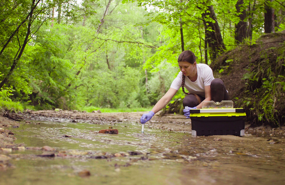 The Impact of a Biology Degree Program on Environmental Conservation