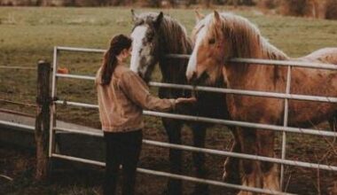 The Overlooked Details Behind A Properly Equipped Horse