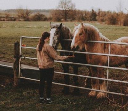 The Overlooked Details Behind A Properly Equipped Horse